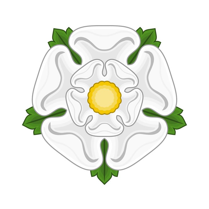 Rose blanche des York